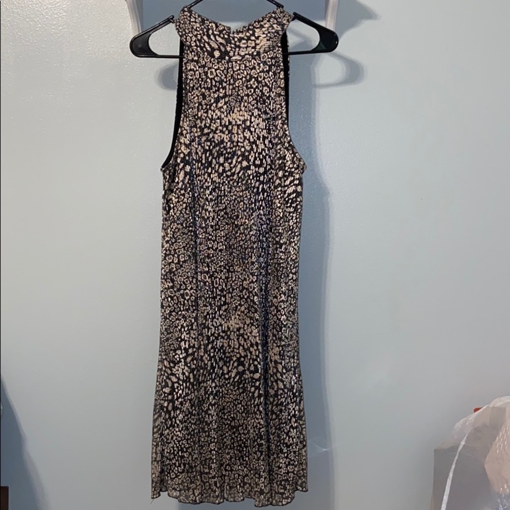 Catos dress